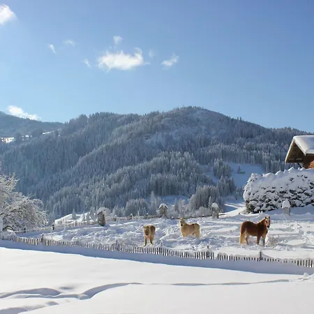 아파트 Almstueble *